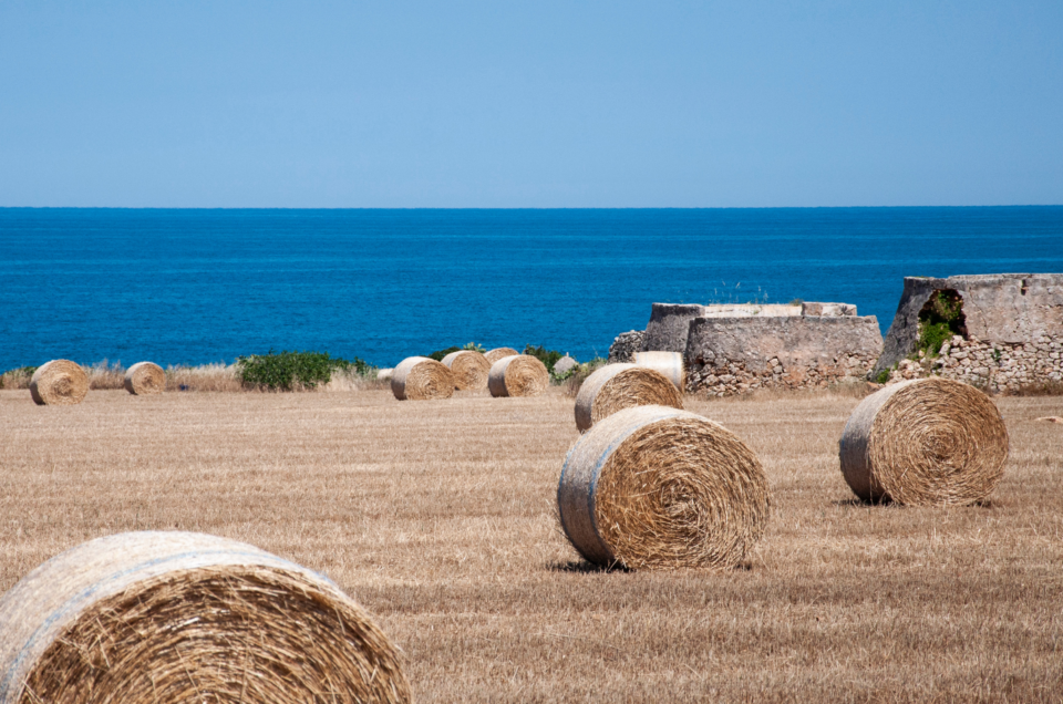 6 Tips For Tourist On A Budget Trips in Puglia